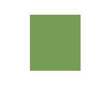 Daler-Rowney Graduate - Peinture acrylique - 120 ml - vert sève