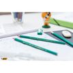 3270220000174-BIC ECOlutions EVOLUTION 650 - Pack de 10 Crayons à papier - HB-P_1112230_7-5