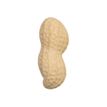 8058093948725-Legami - Gomme - forme cacahuète-P_400003589_1-0