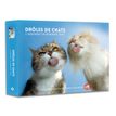 9782755683066-L'Agenda-calendrier Drôles de Chats 2021-P_400004127_1-0