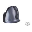 8719274673064-Bakker Elkhuizen Evoluent D - souris ergonomique sans fil pour droitier - taille moyenne-P_400009846_21-11