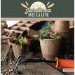 3592930027075-Calendrier illustré BOUCHUT 30 x 30 cm JARDINEZ Pefc 70 %--0