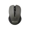 8717371865580-Canyon - Souris sans fil - gris-P_405162824_1-0