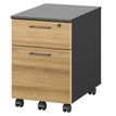 Caisson mobile JAZZ+ - Profondeur 60 cm - 2 tiroirs - chêne du bocage