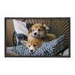 3135250994810-Sous-main Chiots - 59,5 x 36,2 cm - Viquel-P_405226460_1-0
