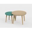 0404052551013-Lot de 2 tables basses - 60X42cm & 45X37cm - Camel et Vert Sauvage--0