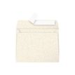 3329680500417-Pollen - 20 Enveloppes - 90 x 140 mm - 120 g/m² - ivoire irisé-P_79402628_1-0