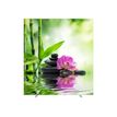 3660141945263-Cloison de séparation EASYSCREEN - L160 x H174 cm - zen 2-P_79409475_1-0