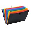 3135251116679-Viquel Rainbow Class - Trieur extensible 12 positions-P_79419270_1-0