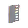 3135254970179-Viquel Rainbow Touch - Trieur à soufflets 6 positions-P_79445255_4-0