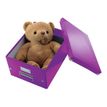 4002432103805-Leitz Click & Store - Boîte de rangement A4 - violet métallisé-Angle droit-3