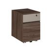 3483600349842-Caisson mobile VERMONT - 2 tiroirs - Noyer fumé-Angle gauche-0