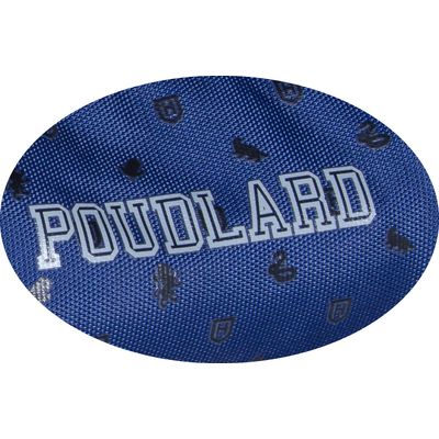 3661507528502-Trousse ronde HARRY POTTER Poudlard - 1 compartiment - bleu - Kid'Abord--2
