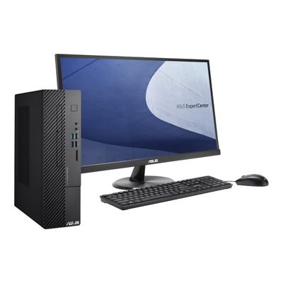 4711081571810-ASUS ExpertCenter D500SCES 0G6405002R - unité centrale - SFF - Pentium Gold G6405 4.1 GHz -Angle gauche-6