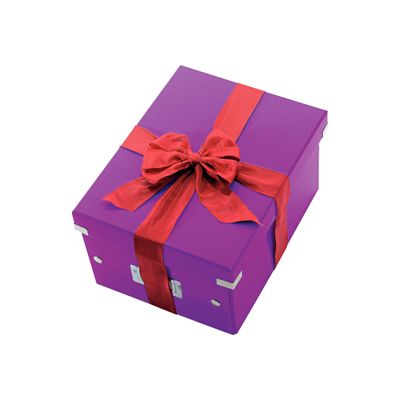 4002432103805-Leitz Click & Store - Boîte de rangement A4 - violet métallisé-Angle droit-0