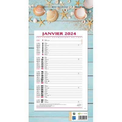 3592930026962-Bouchut 409 Ambiance - Calendrier de bloc mensuel à feuillets - 19 x 36 cm--0