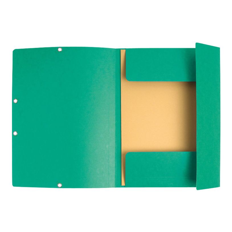 3130632553036-Exacompta Nature Future - 10 Chemises à 3 rabats - A4 - pour 250 feuilles - vert-P_1855303_3-2