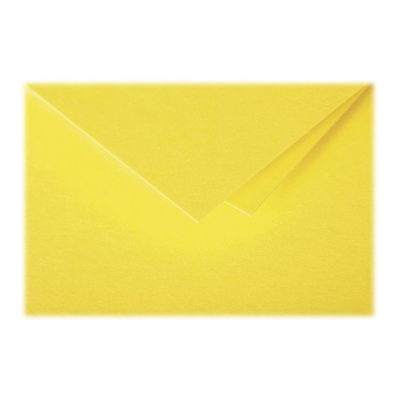 3329680161236-Pollen - cartes pliées en deux - 25 feuille(s) - 116 x 116 mm - 210 g/m²-P_300013950_2-1