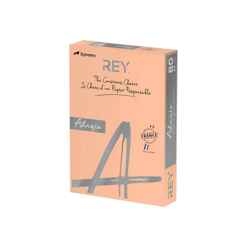 8421938302042-Rey Adagio - Papier couleur - A4 (210 x 297 mm) - 80 g/m² - Ramette de 500 feuilles - sau-P_300044639_1-0