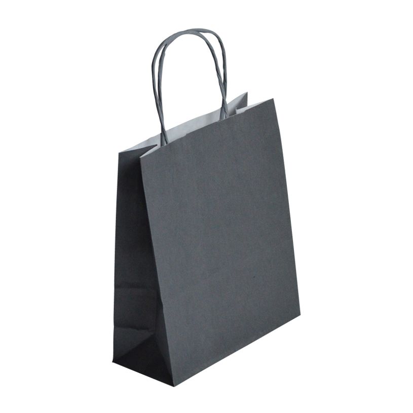 2130858204737-50 Sacs cadeau kraft - poignées torsadées - 22 cm x 12 cm x 31 cm - gris-P_400001211_1-0