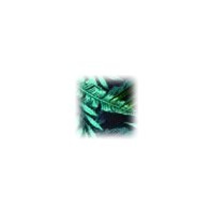 3108726460607-Oberthur Jungle - Porte-monnaie - disponible dans différents modèles-P_400002155_4-3