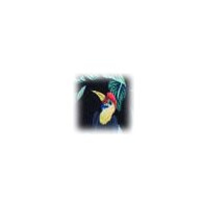3108726460607-Oberthur Jungle - Porte-monnaie - disponible dans différents modèles-P_400002155_5-4