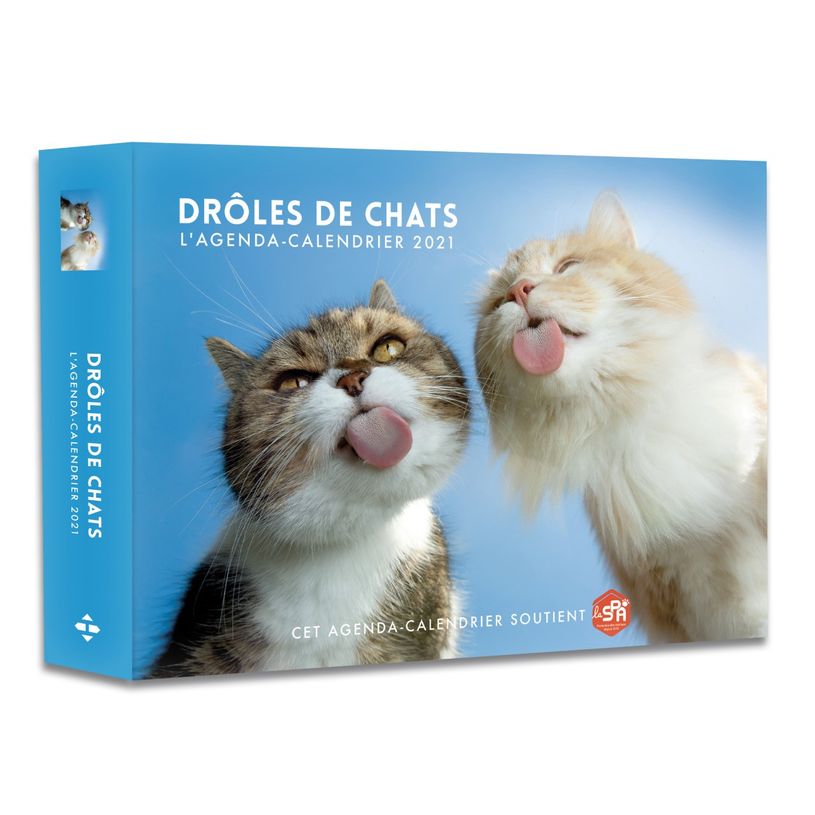 9782755683066-L'Agenda-calendrier Drôles de Chats 2021-P_400004127_1-0