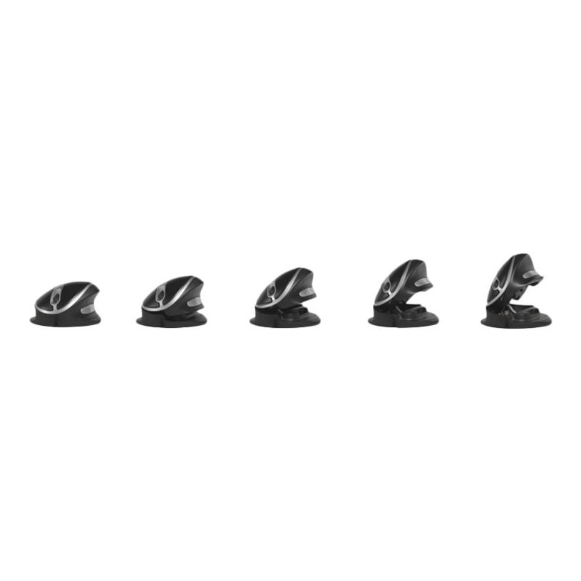 8717399998130-Bakker Elkhuizen Oyster - souris sans fil ergonomique - grande taille-P_400009819_21-12