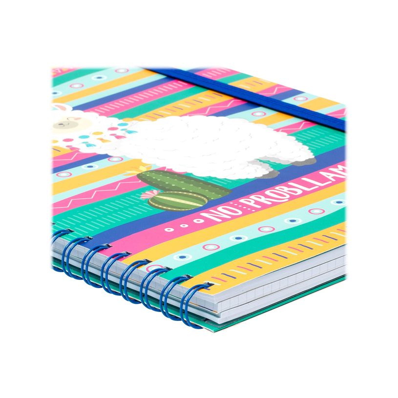 8054320565635-Legami - Carnet notebook 3-en-1 - A4 maxi - no problama-P_405115391_5-1