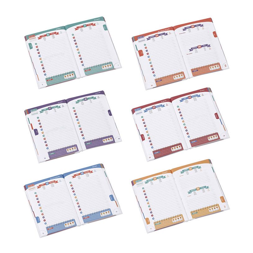 3135257463371-Agenda Fleurs Abstraites - 1 jour par page - 12 x 17 cm - rose ou bleu - Viquel-P_405128702_4-3