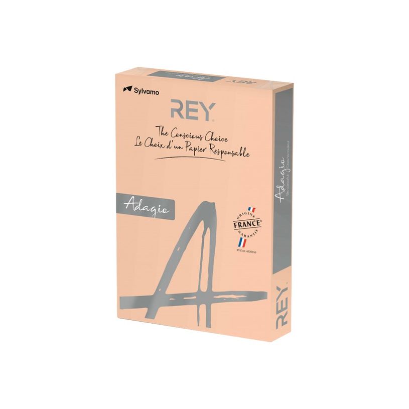 3368220137317-Rey Adagio - Papier couleur - A3 (297 x 420 mm) - 80 g/m² - Ramette de 500 feuilles - cha-P_405137771_1-0