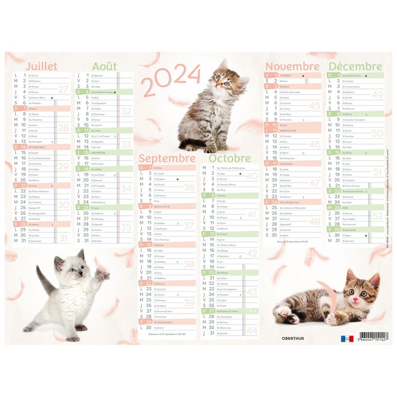3664447151441-Calendrier Chats 4 saisons - 6 mois par face - 40,5 x 55 cm - Oberthur-P_405149420_2-1