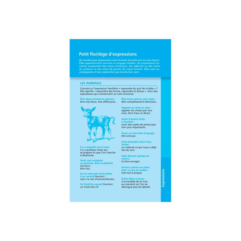 9782036068759-Le dictionnaire Larousse Junior poche - CE/CM - livre-P_405184148_1-0