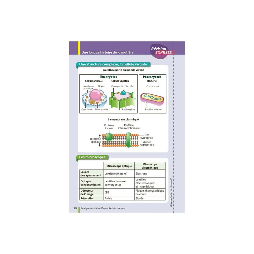 9782095035624-Toutes les matières du tronc commun Première- Bac 2025 - Français, Histoire-Géographie, Enseignement scientifique, Anglais, Espagnol, Allemand - Ma compil de fiches Bac - 1re - livr-P_405235471_6-5
