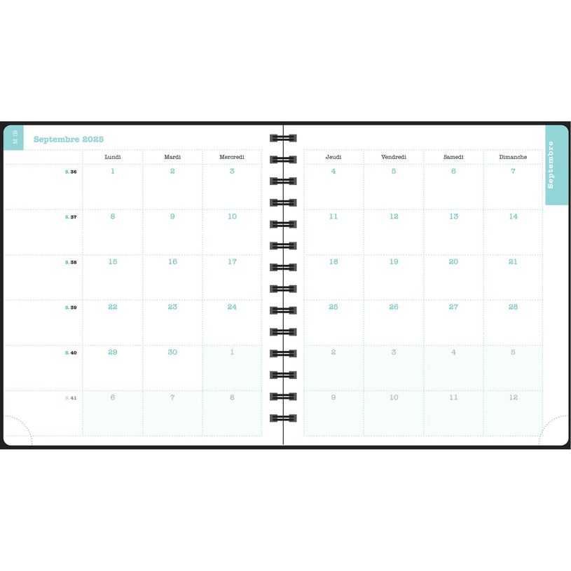 3660942088428-Agenda de bureau Dodo & Cath Lady 18S spiralé - 1 semaine sur 2 pages - 15 x 17 cm - Poisson - Exacom--11