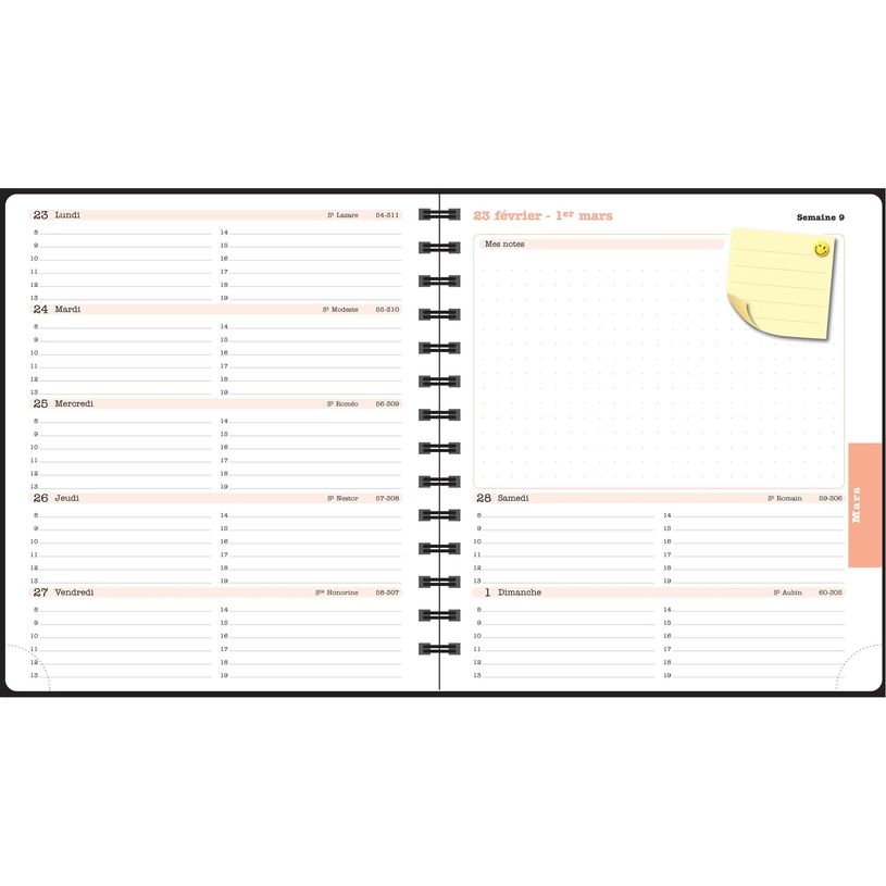 3660942088404-Agenda de bureau Sophie Adde Lady 18S spiralé - 1 semaine sur 2 pages - 15 x 17 cm - Fleurs - Exacompt--7