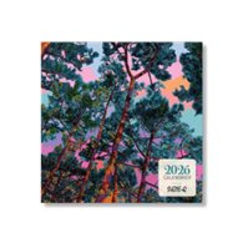 3700368835548-BLUE ART - Calendrier - 2026 - Pins by Suzie Q - mois à afficher - 14 feuilles - 300 x 30-P_405244287_1-0