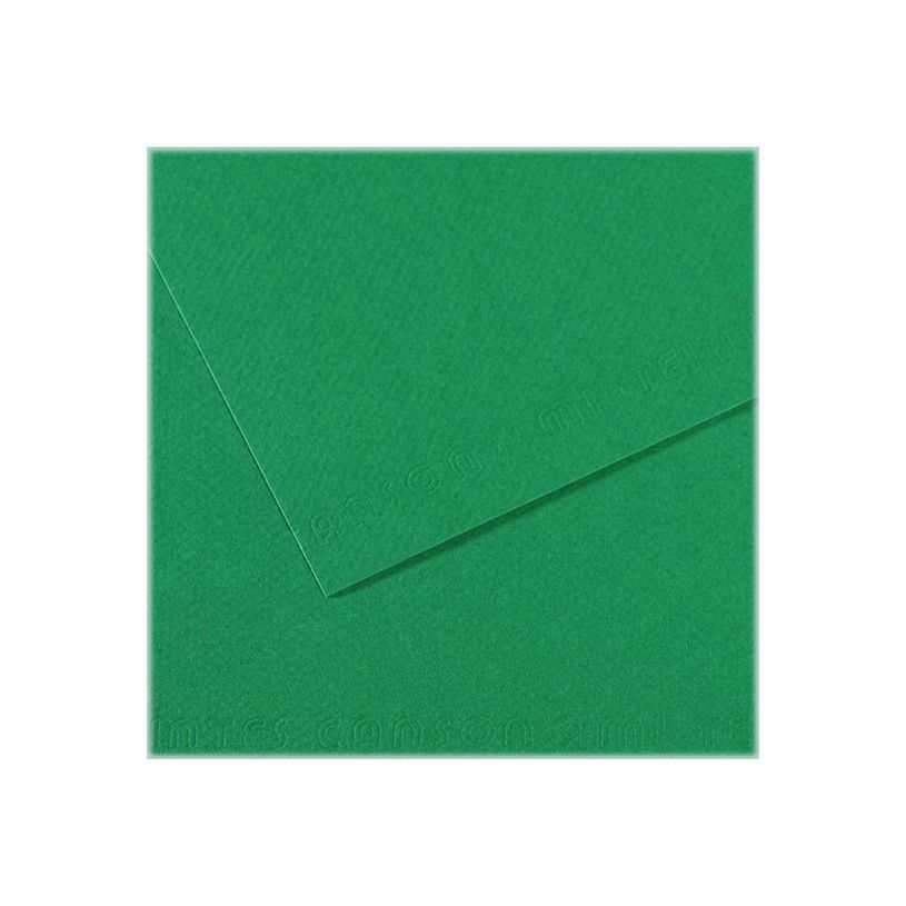 3148953212341-Canson Mi-Teintes - Papier à dessin - 50 x 65 cm - vert billard-P_79349270_1-0