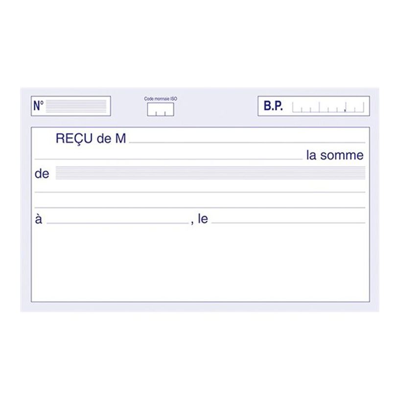 3416790021045-ELVE - Manifold Carnet de reçus - 50 dupli - 10,5 x 18 cm-P_79362512_2-1
