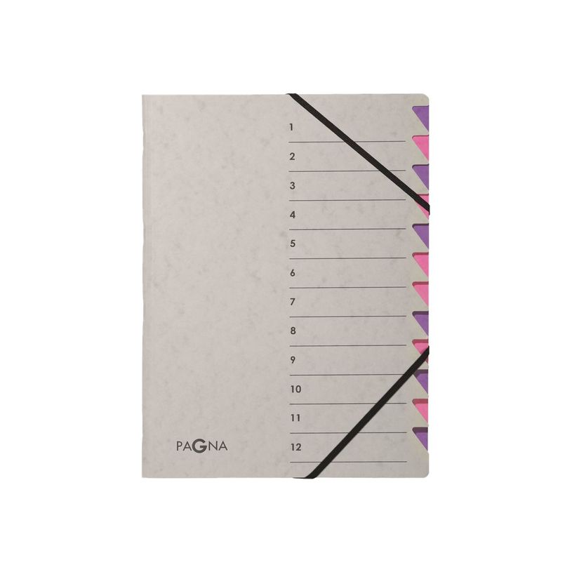 4013951014534-Pagna - Trieur 12 positions - violet-P_79424924_2-0