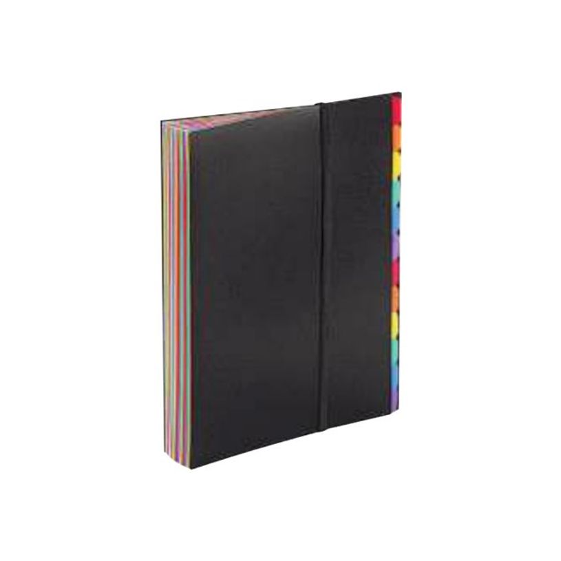 3135251118673-Viquel Rainbow Class - Trieur polypro 36 positions-P_79430069_2-0