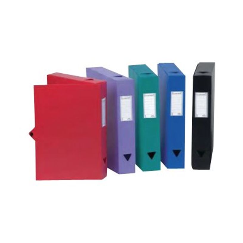 3135251141121-Viquel - Boîte de classement plastique - dos 40 mm - mauve-P_79435096_1-0