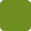 https://dxbyzx5id4chj.cloudfront.net/pub/media/catalog/attribute/product/couleur_ecriture/vert_olive.jpg