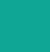 Vert Nuit